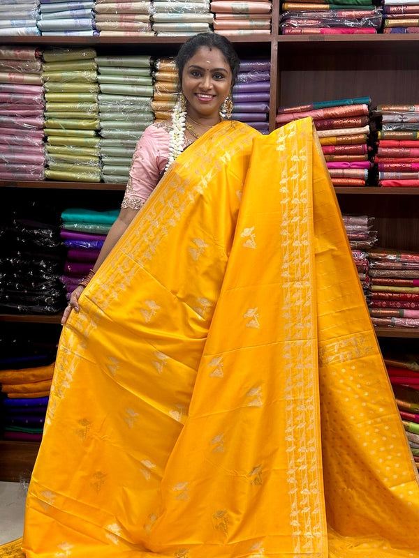 Burberry silk saree